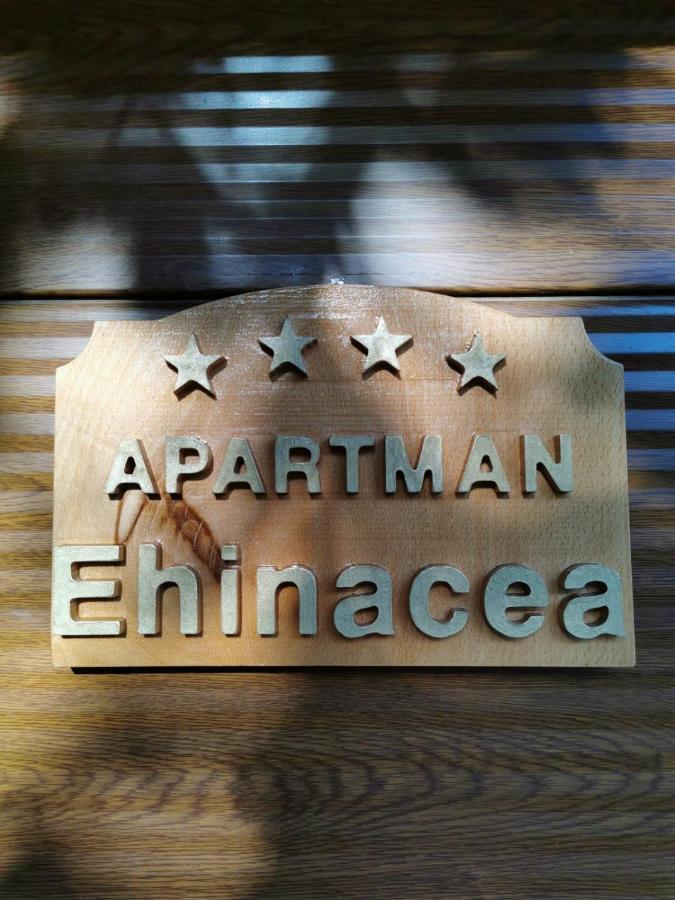 Ehinacea Lejlighed Rtanj Eksteriør billede